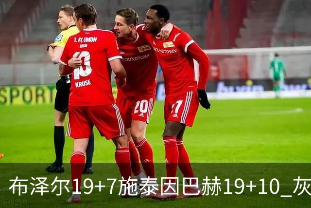 布泽尔19+7施泰因巴赫19+10 灰熊主场大胜黄蜂