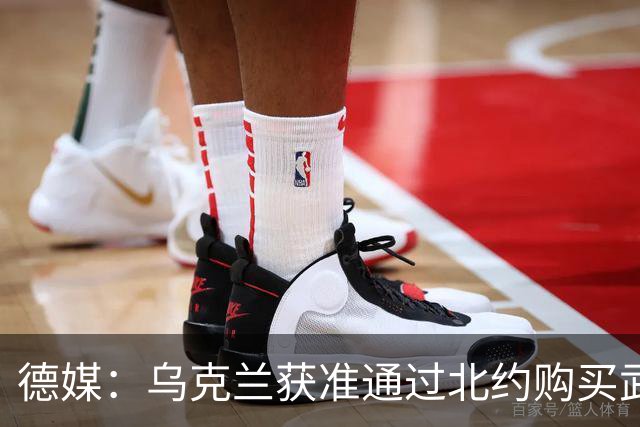 德媒：乌克兰获准通过北约购买武器