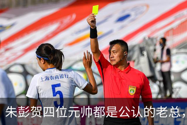 朱彭贺四位元帅都是公认的老总，但毛主席认可的只有其中三位
