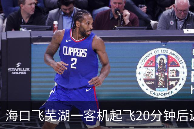 海口飞芜湖一客机起飞20分钟后返航，桂林航空：空中遇飞鸟撞击，需全面检查