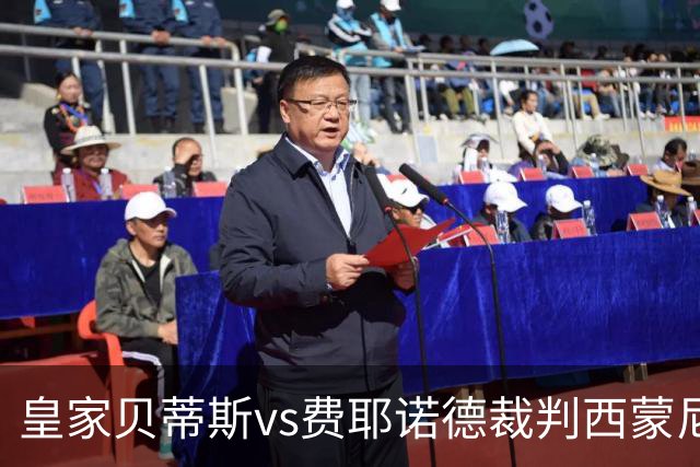 皇家贝蒂斯vs费耶诺德裁判西蒙尼-索扎数据：近20场5红70黄9点