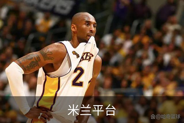 关于米兰平台