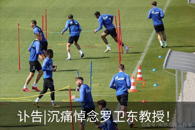 讣告|沉痛悼念罗卫东教授！